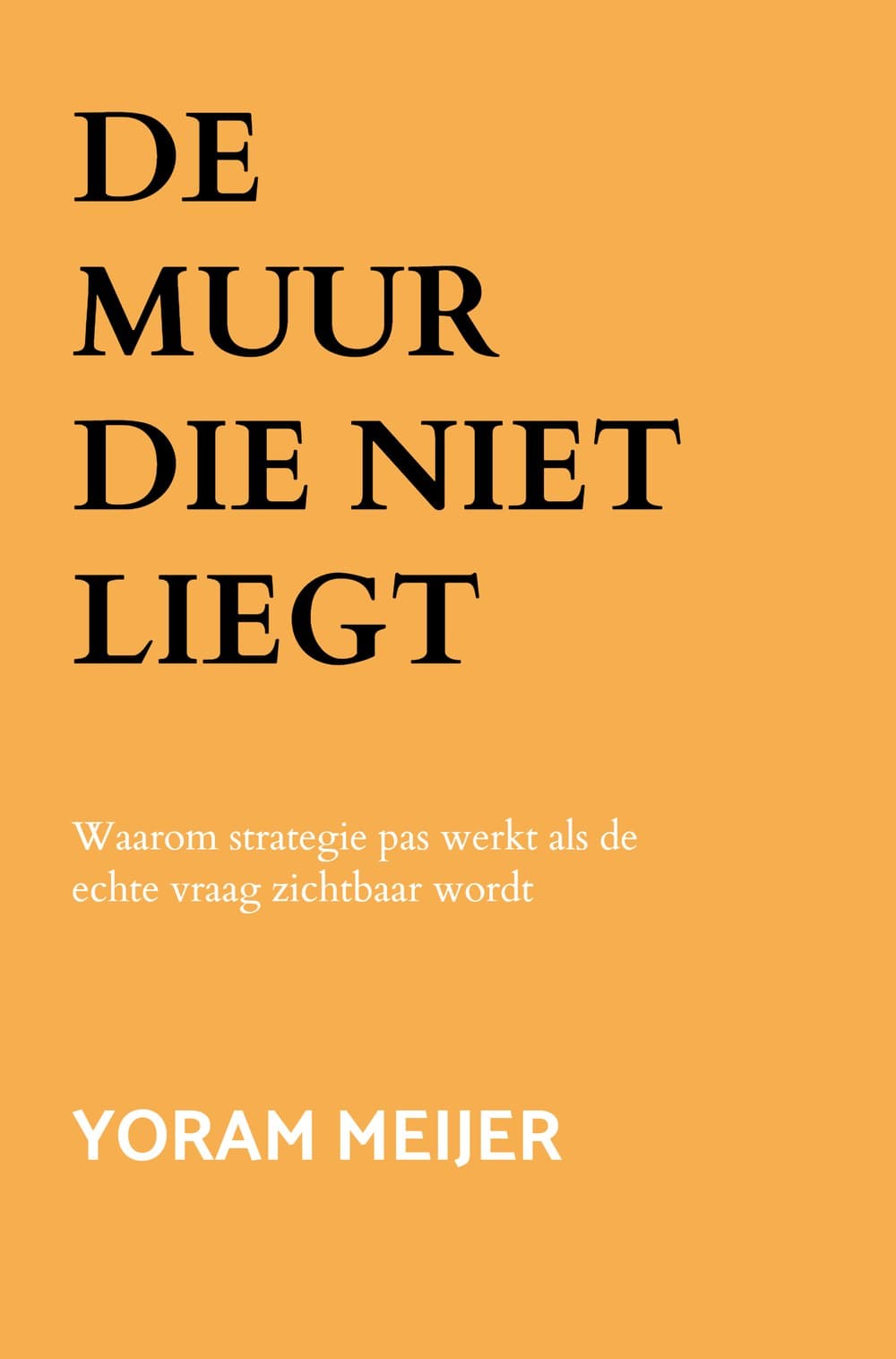 Omslag van De muur die niet liegt